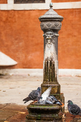 Obraz na płótnie Canvas Drinking water fountain in Venice