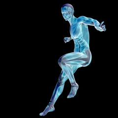 Obraz premium 3D human man anatomy for health or medicine