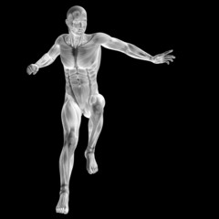 Fototapeta na wymiar 3D human man anatomy for health or medicine