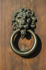 Italian door knocker: lion