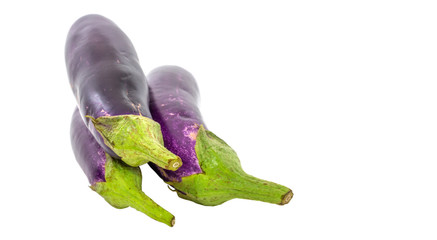 Eggplant vegetable over white background