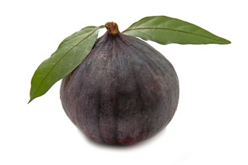 Figs