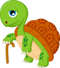 Illustration of elderly tortoise