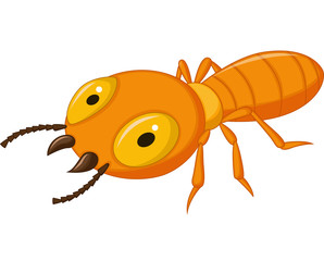 Termite cartoon