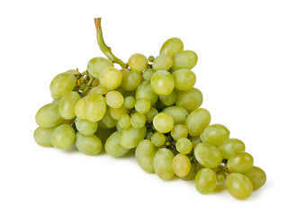 Branch of green grapes