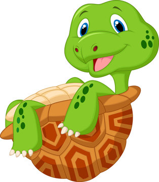 Cute tortoise cartoon