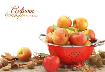Apples in colander, isolated on white