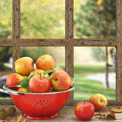 Fototapeta premium Jabłka w durszlak na drewnianym oknie z widokiem