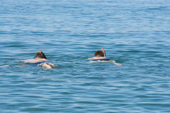 2 men swimming in the sea