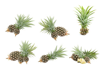 Obraz premium pineapple