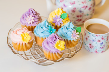 Cupcake selection in pastel colors