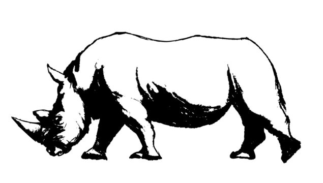 Rhino Sketch Silhouette