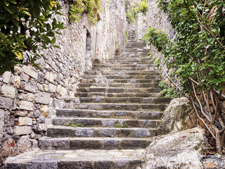 steps
