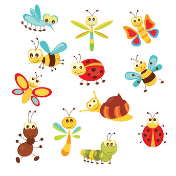 Set of funny insects