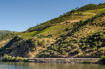Douro Valley