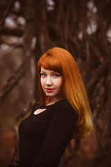 Fototapeta premium red-haired face model girl in black woman dress dry autumn dark