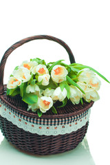 Fototapeta na wymiar Beautiful tulips in basket