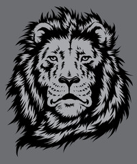 Obraz premium Lion Head Vector