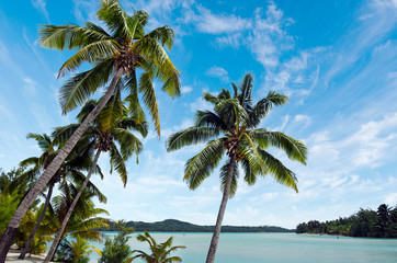Fototapeta na wymiar Landscape of Arutanga island in Aitutaki Lagoon Cook Islands