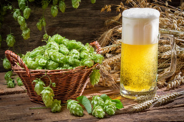 Basket full of hops and a cold beer