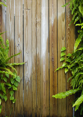 Closeup of Fern Leaf On Wood Plank Background