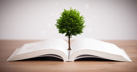 Tree growing from an open book
