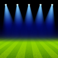 Bright spotlights illuminated green soccer field © piai