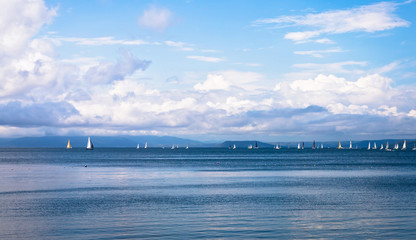 Seascape with sailboats the background of the blue sky.