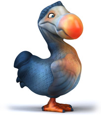 Dodo © Julien Tromeur