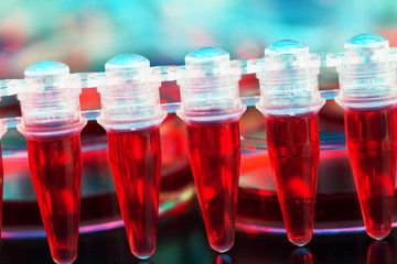 stem cells for treating cancer in a microtube