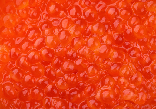 Salted red caviar macro photo background texture