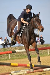 horse jumping