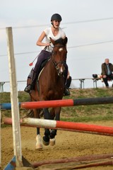 horse jumping