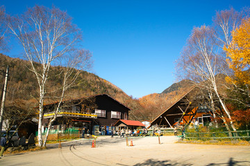 Fototapeta premium 秋の光徳牧場