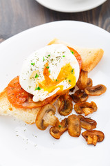 Poached egg with mushrooms and tomatoes