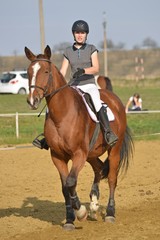 Obraz premium horse jumping