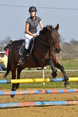 horse jumping
