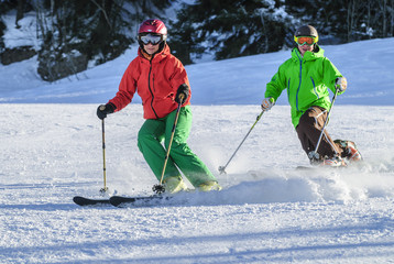 Skisport