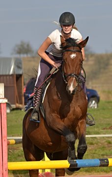 horse jumping