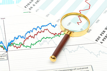 Magnifier on graphs.