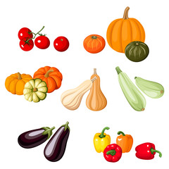 Various vegetables. Vector illustration.