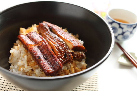 Japanese food, grilled eel Unagi on rice
