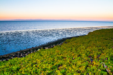 Baie de San Fransisco