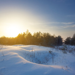 evening winter scene