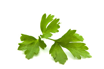 parsley leaves