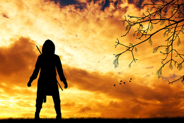Samurai ninja silhouette at sunset © adrenalinapura