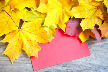 Autumn leaves over old wooden background. With copy space