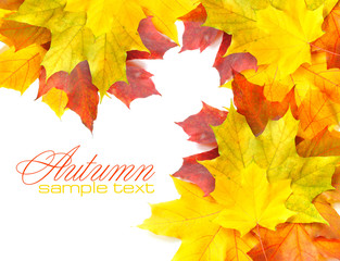Border frame of colorful autumn leaves isolated on white