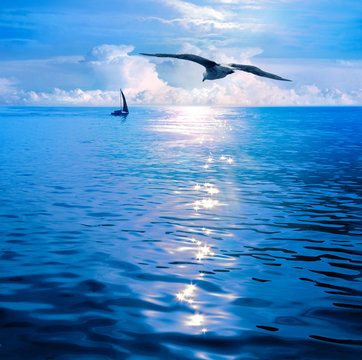 Dawn under sails. Sea View.