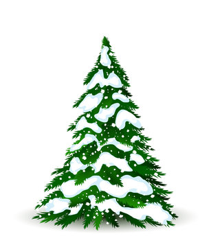Christmas tree in winter, vector card for design